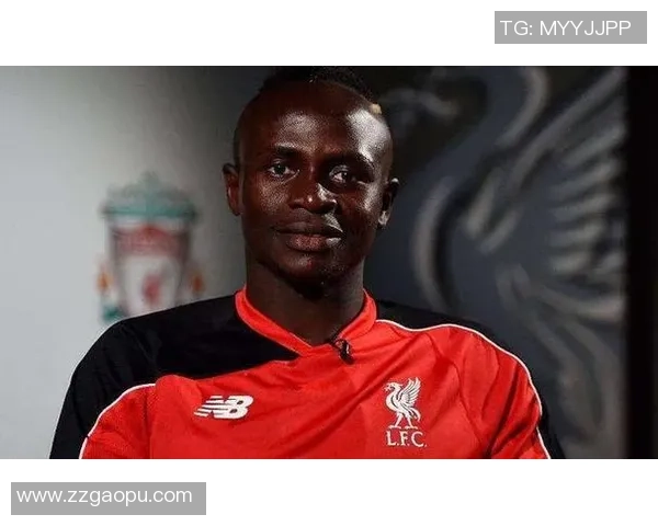 法国黑人球星在世界足球舞台上的辉煌历程与荣耀时刻